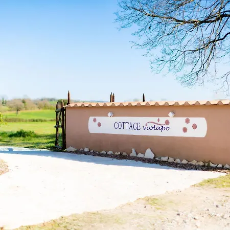 Casa vacanze Locazione Turistica Violapo - Roc220 *